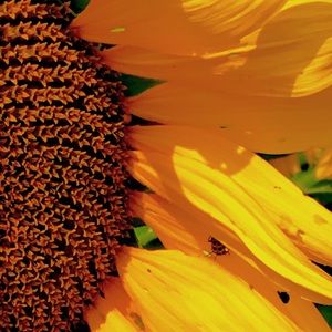 Meet your Posher, Audrey